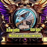 original sound - wiil_qaran47