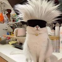 เสียงต้นฉบับ - リヴァイ