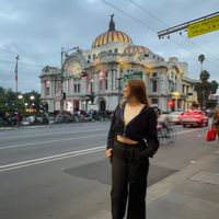 sophieneira
