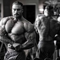 som original - Gym Royal