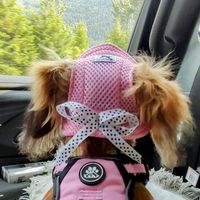 mypebblesminidoxie