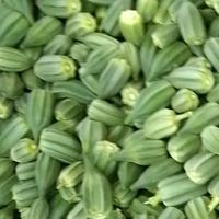 fermealfirdawskoulikoro