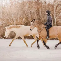 original sound - lene_olesen