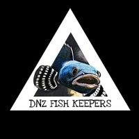 suara asli - DNZ FISH KEEPERS TM