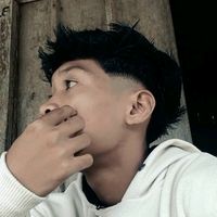 suara asli - ROY NASUTION