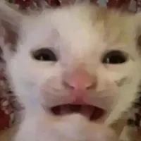 geis