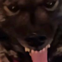 user120222024729