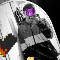 barsik_11k