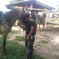 sonido original