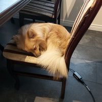 оригинальный звук