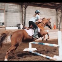 holly_dunkin_13