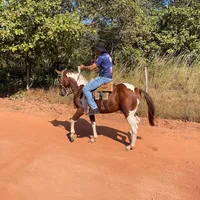 original sound - joabyvianna822