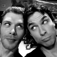 lelesalvatoreemikaelson