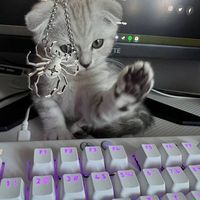 frezbee73