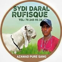 daral035