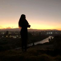 nechita_v