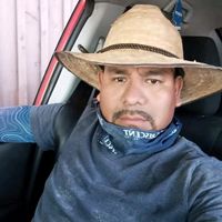 de.paz524