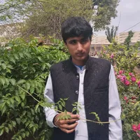 original sound - syed.ibraheemstar
