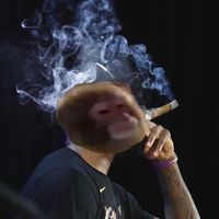 themonkeyintern