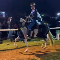 original sound - matheustreinador0