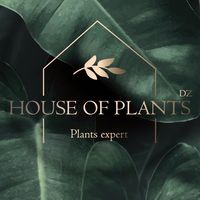house.of.plants.dz