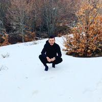 aldobasha0