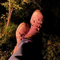 original sound - bocancipemunte