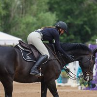 pcequestrian