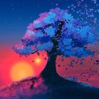 sunet original