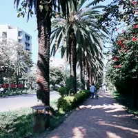 original sound - amharaentertainment