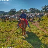 welthonpalhetaverissimo4