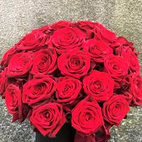 malgifts
