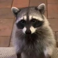 seanxdrl