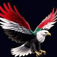 user4741496288485arr
