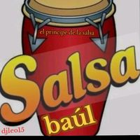salsa2.33