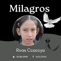 yurimaccaccyaalar