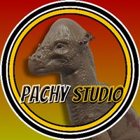 pachystudio