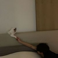 เสียงต้นฉบับ - ☆