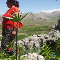 fadime.iek82