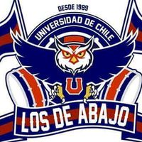 los_barras_no_sapean