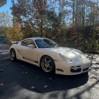 that_white_cayman