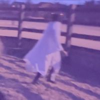 ultimate_shape_shifter