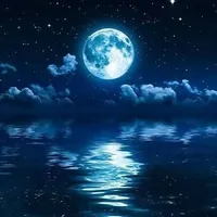 original sound - tj_music8