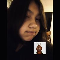 trab_43