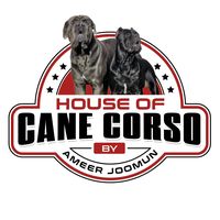 houseofcanecorso