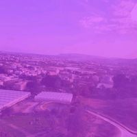 ragcmonkey_gaming