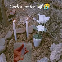 karlitafajardo439
