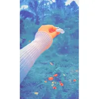 original sound - rossy_silva