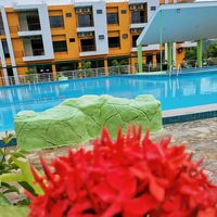 mariposario_biopirai