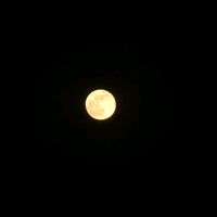 yousif___rashash